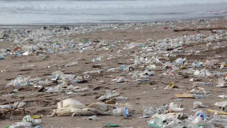 plastskräp på en strand