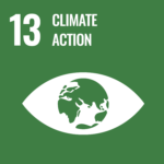 Global goal #13