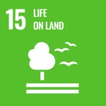 Global goal #15