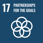 Global goal #17